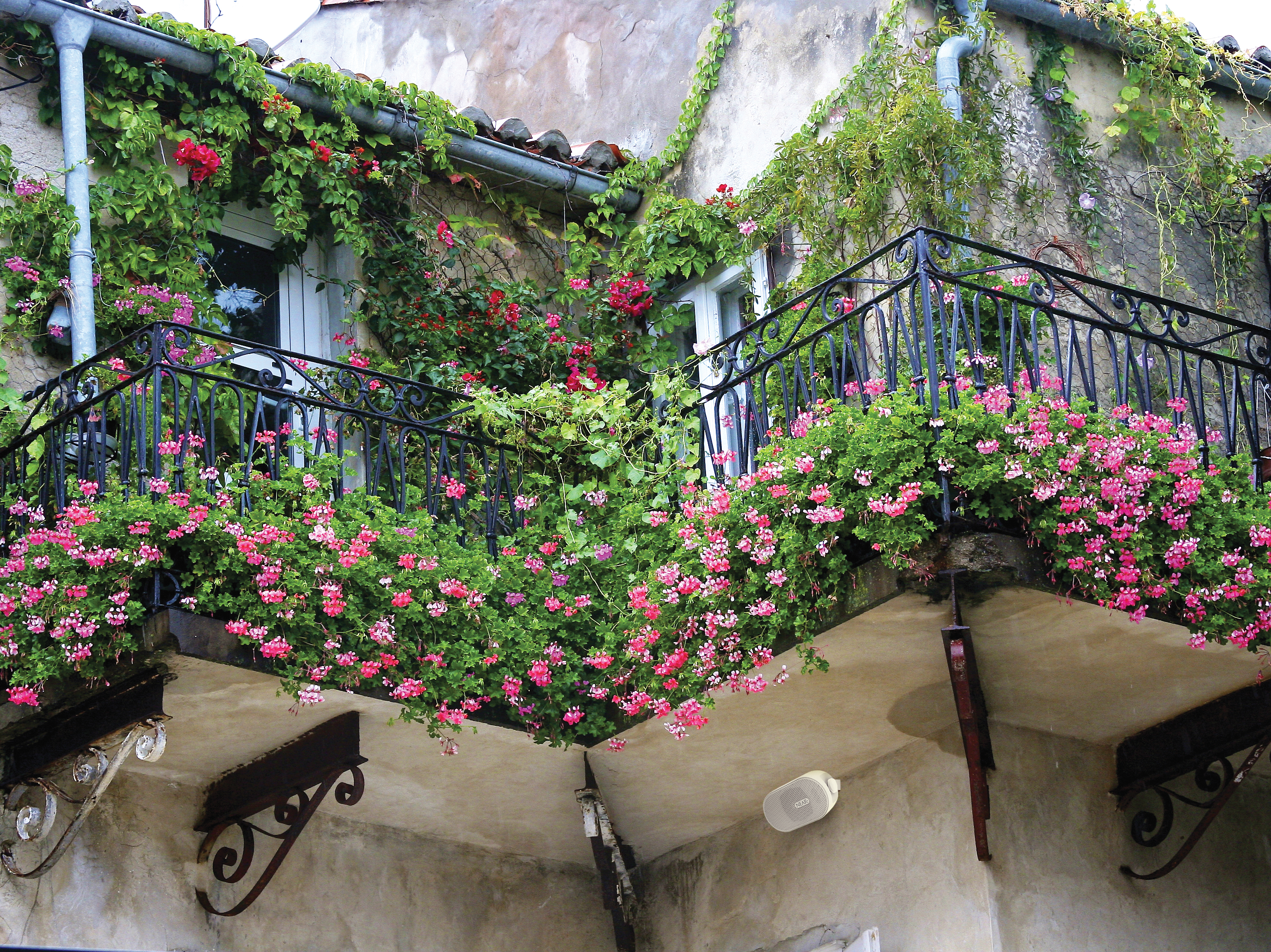 balcony covered in flowers and greenery