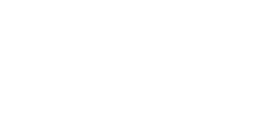 anixter logo