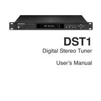 dst1_manual